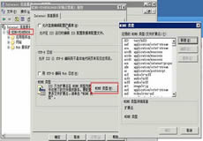 視頻播放IIS支持mp4、flv等mime類型的設(shè)置