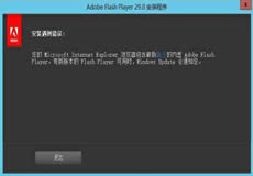 Windows Server 2016、2019顯示啟用Flash